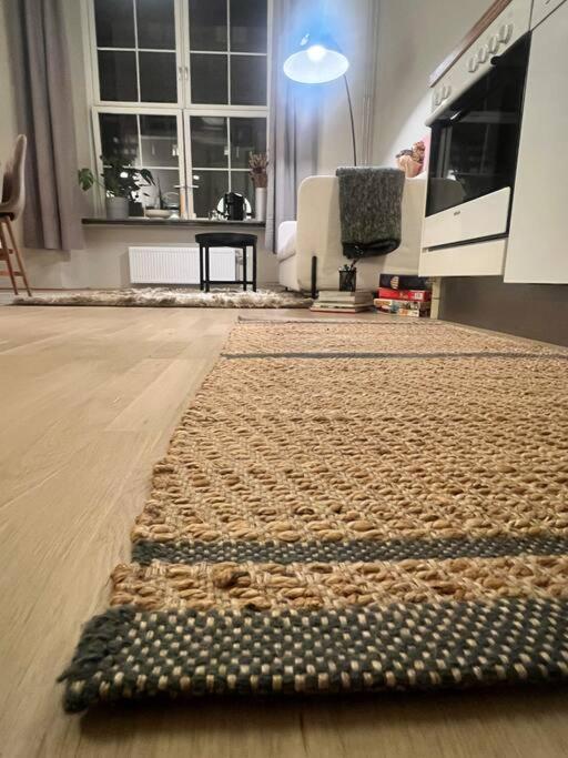 Koselig Leilighet I Sentrum Av Oslo Med Byutsikt! Zewnętrze zdjęcie