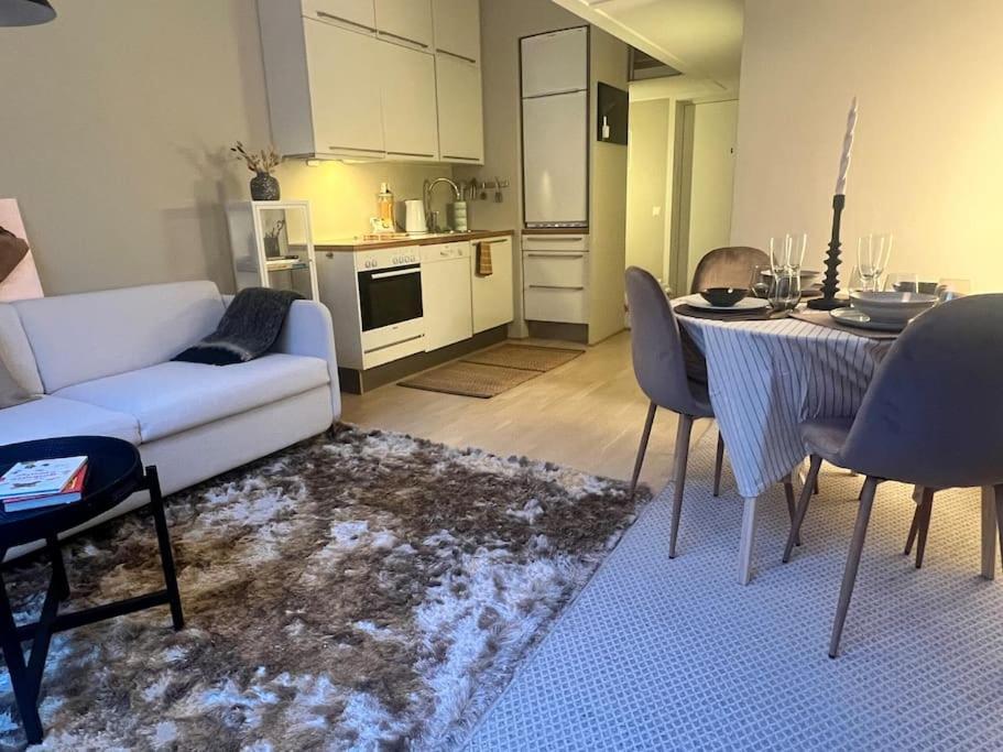 Koselig Leilighet I Sentrum Av Oslo Med Byutsikt! Zewnętrze zdjęcie